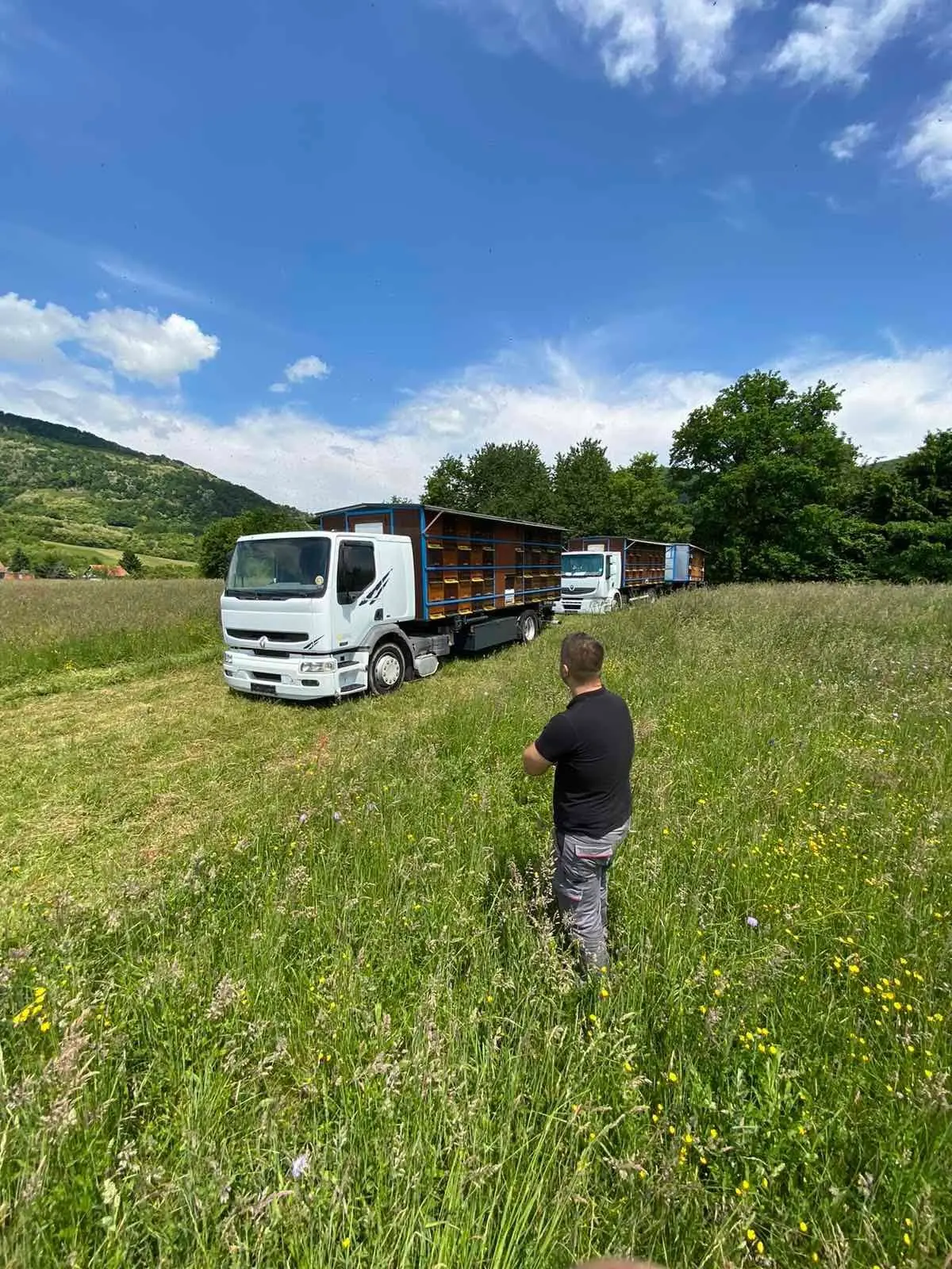 Čebelarstvo Dolinšek tradicija